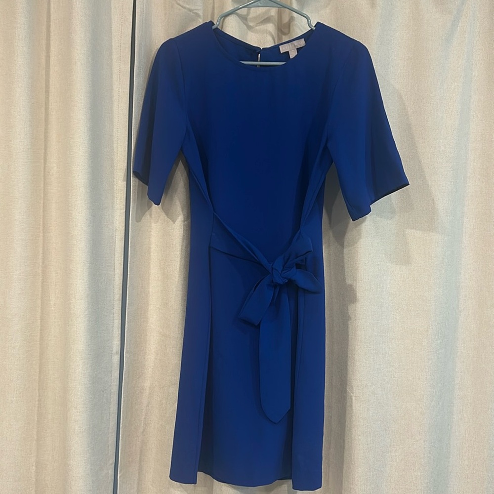 Chelsea 28 Blue Dress